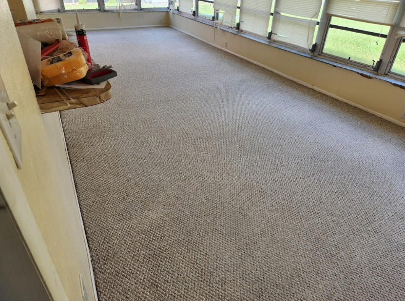 A clean carpet in a Tarpon Springs home