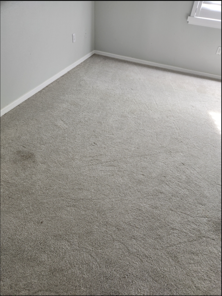 clean fitted bedroom carpet