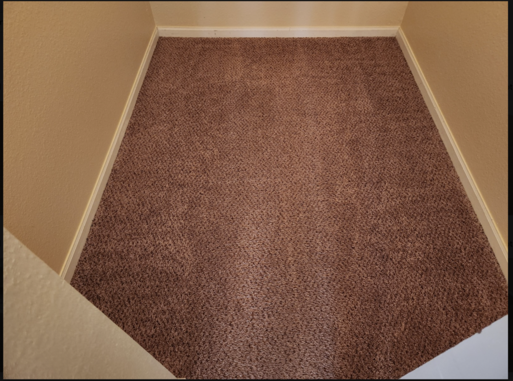 clean fitted hallway carpet