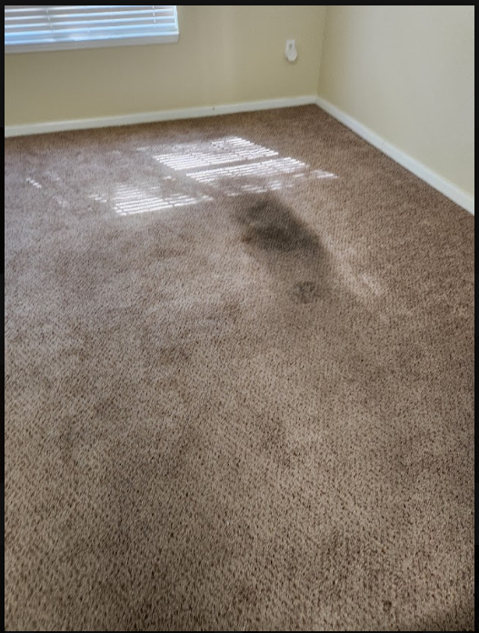 move out carpet cleaned