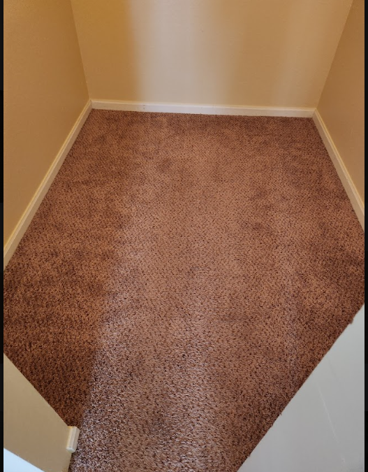 Moving Out Soon? Carpet Cleaning and Security Deposits