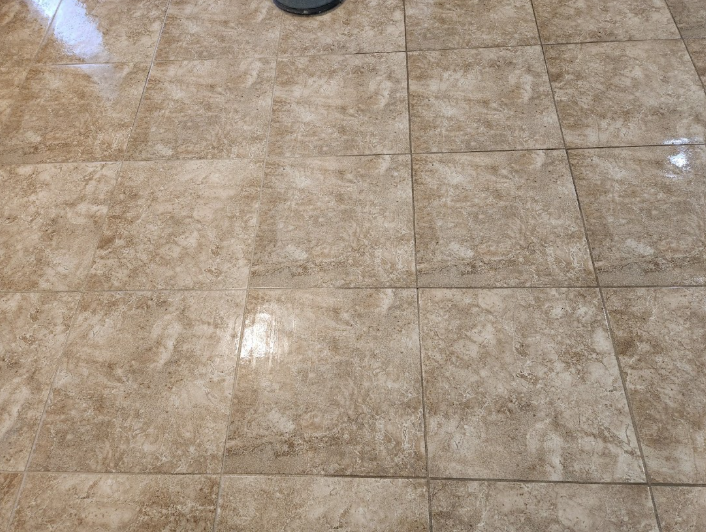 Grout cleaning in Palm Harbor
