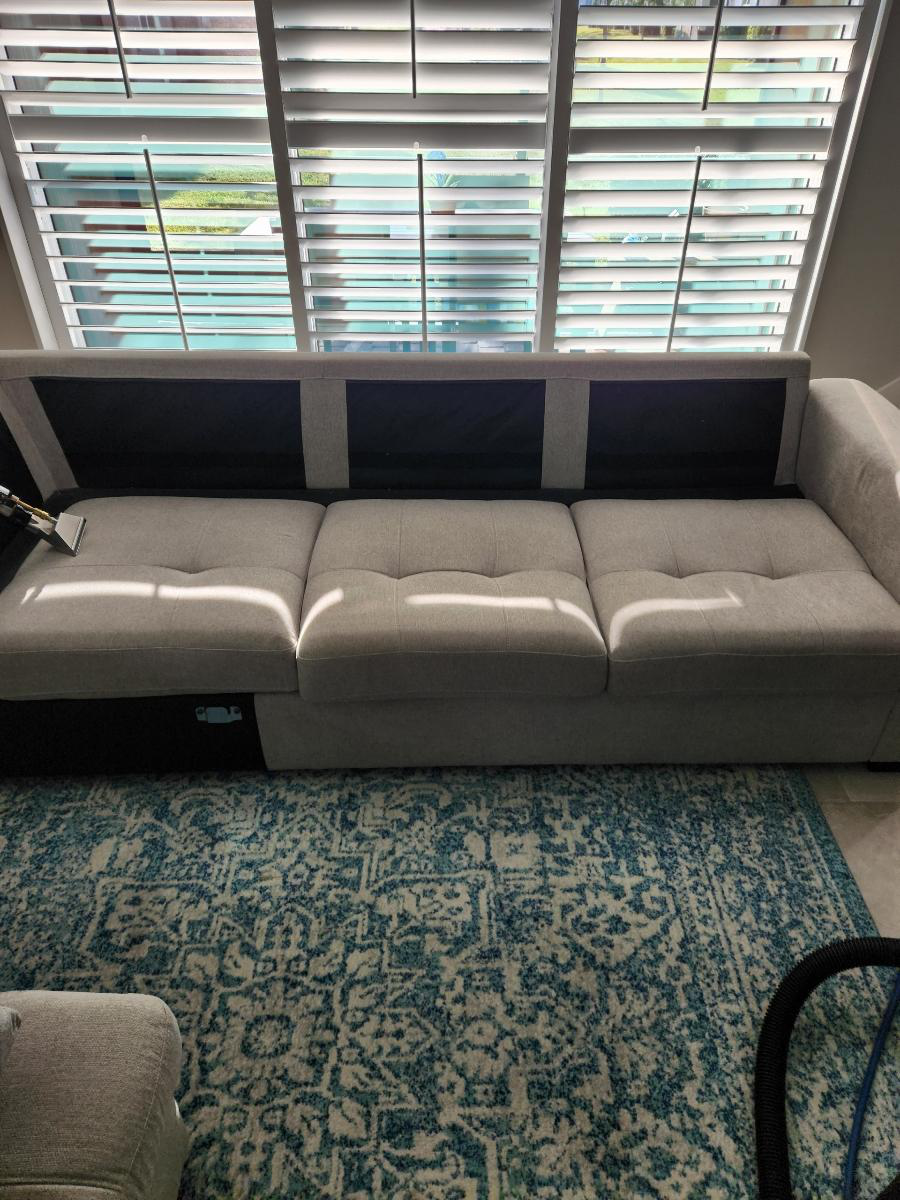 An image of a sofa being cleaned