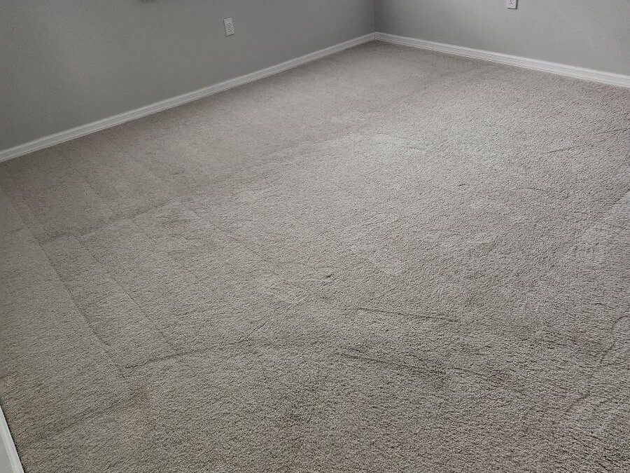 How Often Should You Schedule Carpet Cleaning in St. Petersburg?