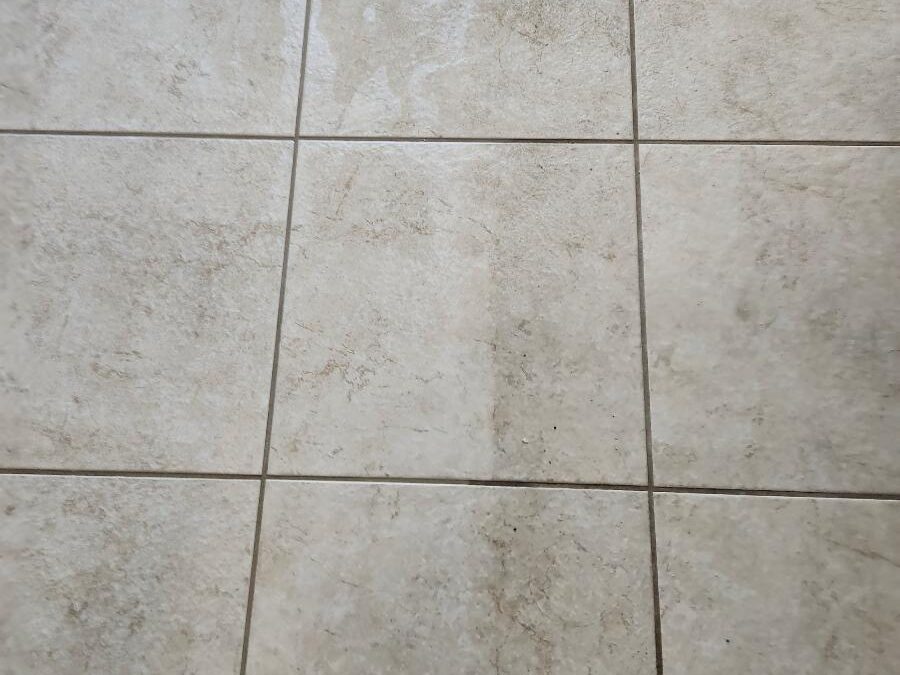 What Is Included in Professional Floor Cleaning?