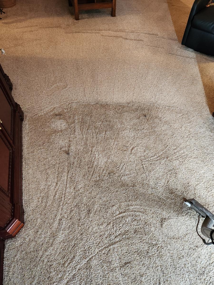 close-up of a dirty carpet being cleaned