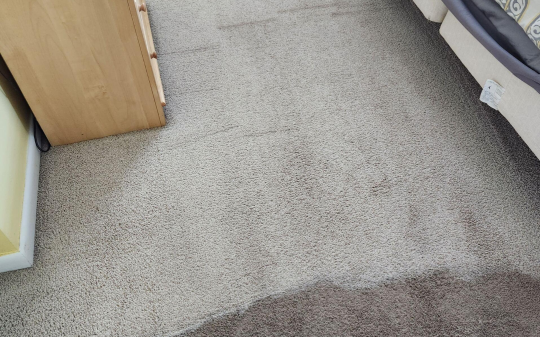 Carpet Cleaning Mistakes Homeowners Make (And What Professionals Recommend Instead)