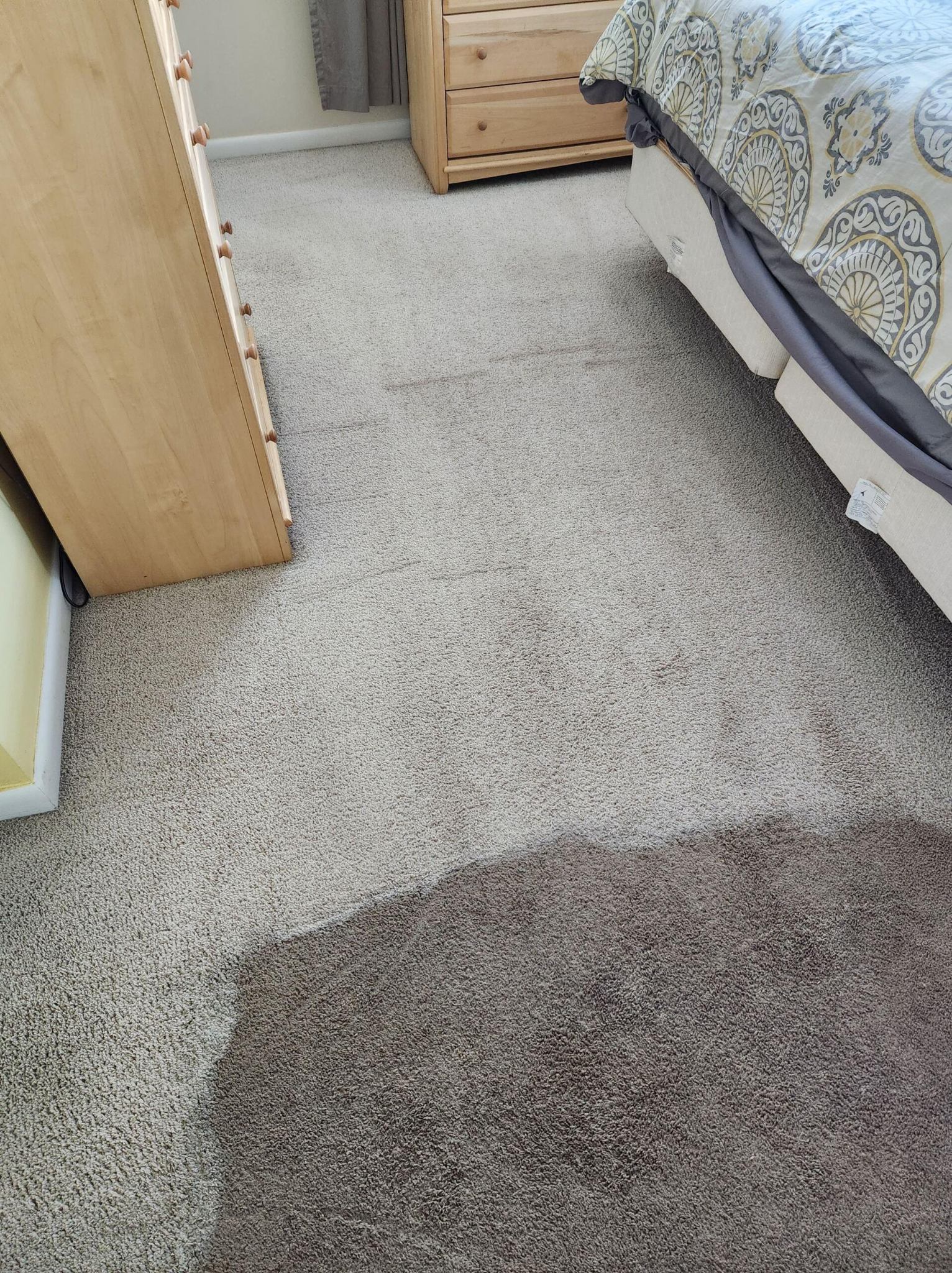 An image of a room carpet being cleaned, showing before and after results