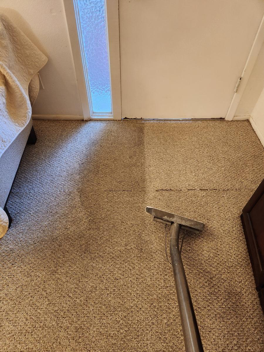 An image of a dirty carpet being professionally cleaned