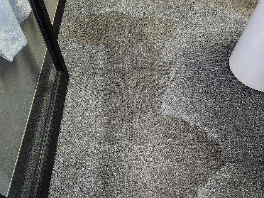 Whole-House Carpet Cleaning: What Areas of Your Home Can Be Professionally Cleaned?