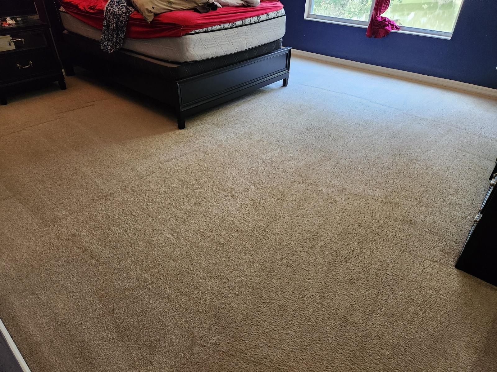 close-up of a freshly cleaned carpet in a room