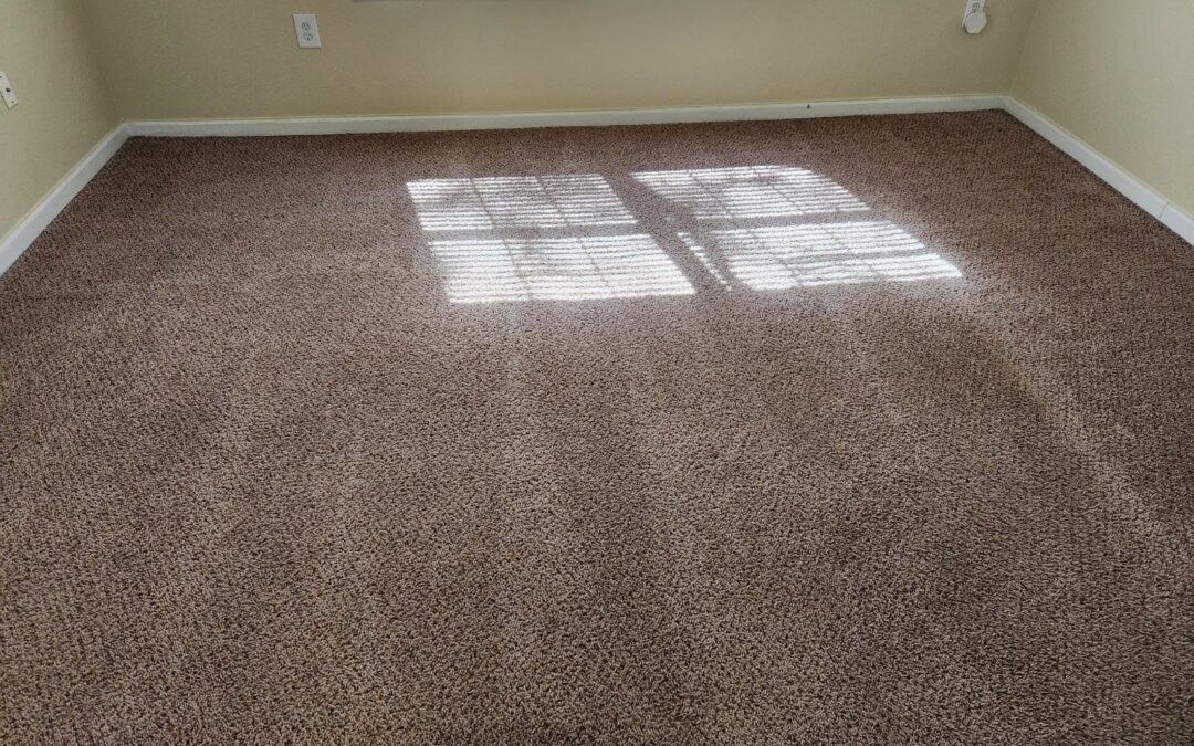 Area Rug and Carpet Cleaning: How Are They Different?