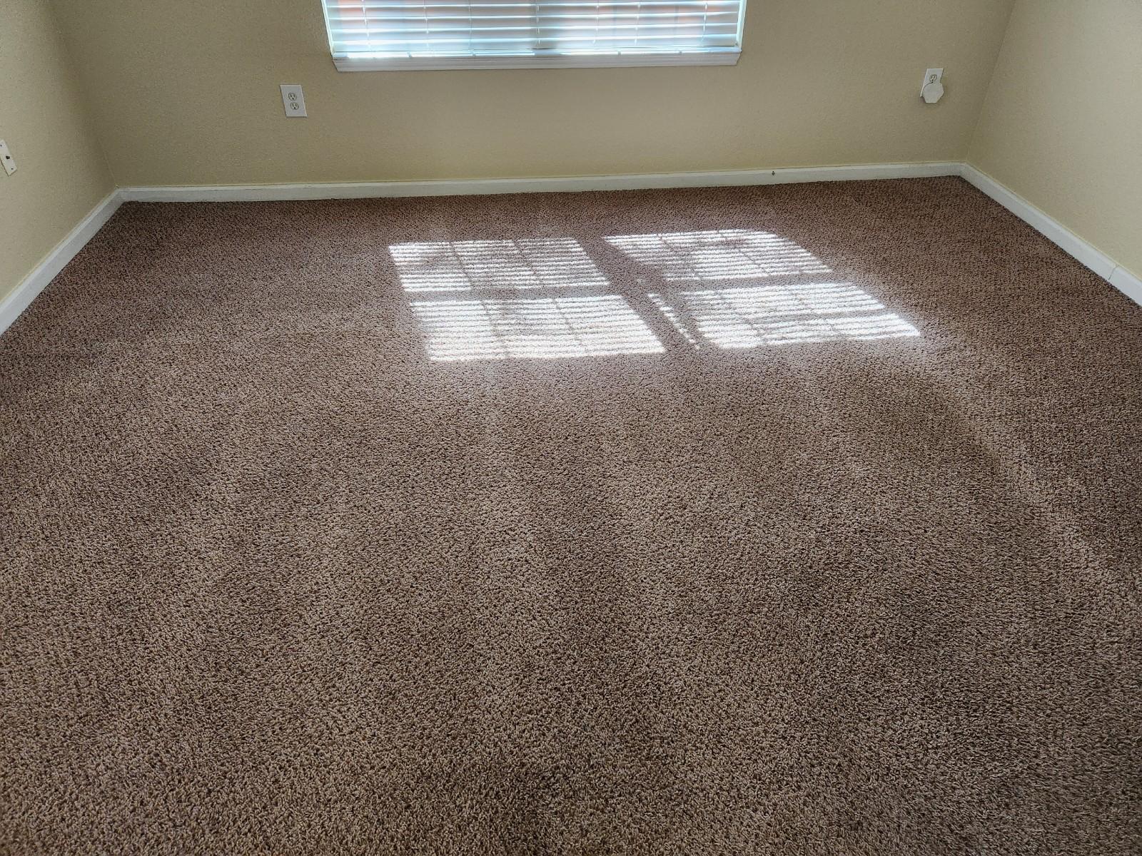 an empty room with a clean carpeted floor