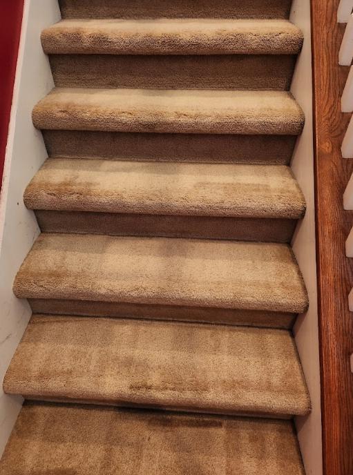 An image of carpeted stairs