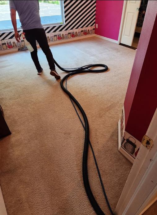 A person cleaning a carpet