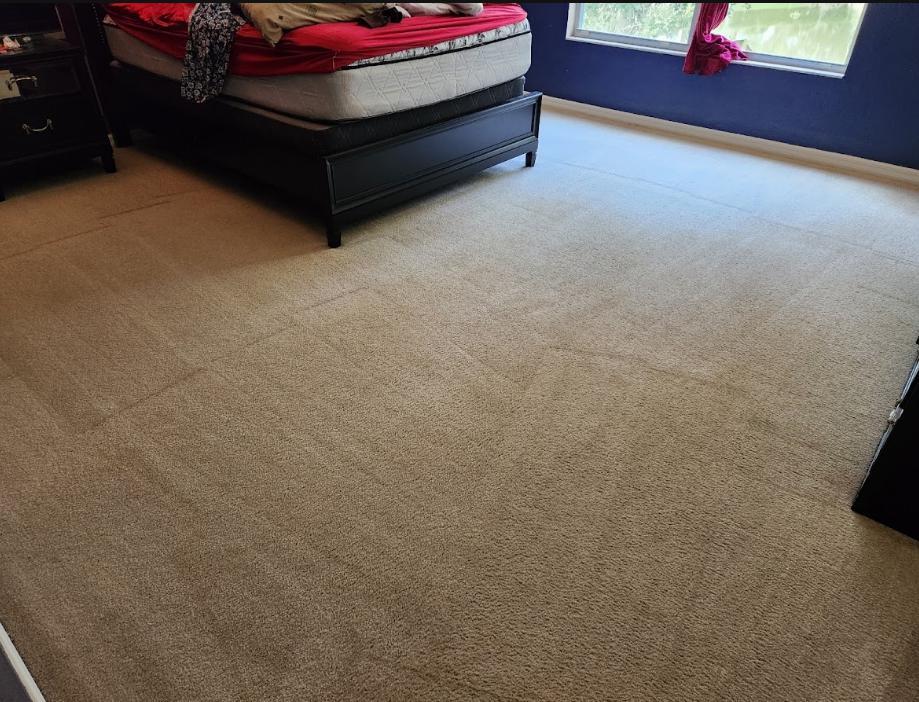 A carpet in a bedroom