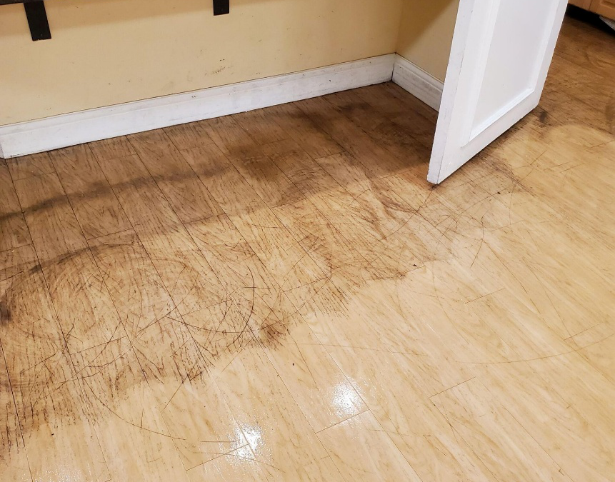 LVP, LVT, and Sheet Vinyl: Understanding the Right Way to Clean Vinyl Floors