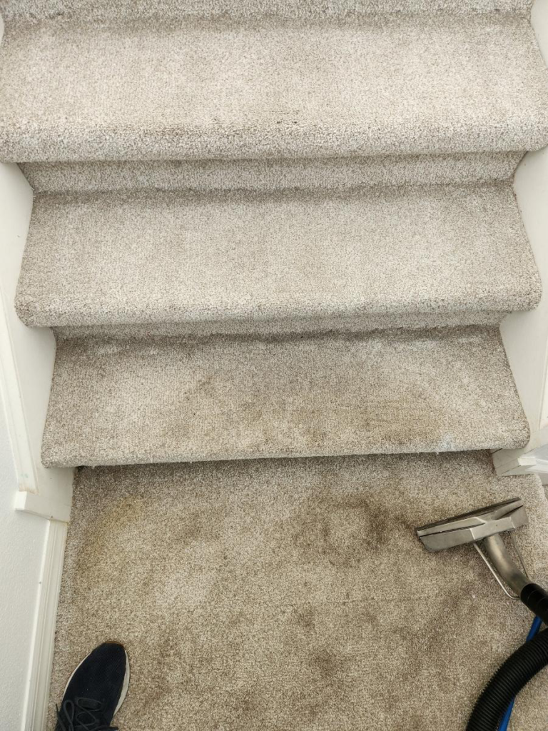 An image of carpeted stairs being cleaned