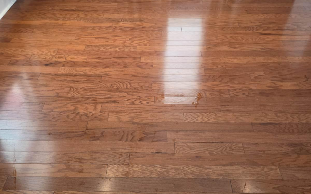 Vinyl Floor Cleaning Guide: How to Care for LVP, LVT, and Sheet Vinyl Floors