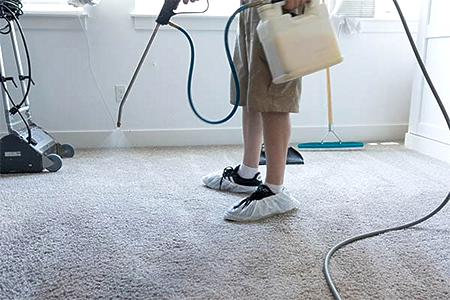 carpet protector spray steambrite cleaning services tampa bay fl